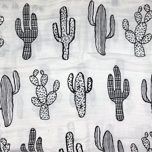 CACTUS image
