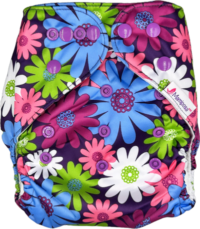 FLORES image